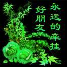 情有独钟：到此一游