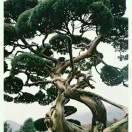 人生就是一个过客