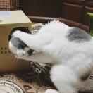 大叔