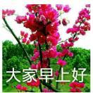 回忆美好？”