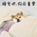 笑看未来