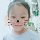 蕾