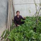 周长玉 大棚农用工具配件