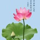 跑滴滴的年轻小老头