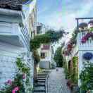 幸运相随🍀🍀🍀🍀