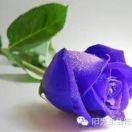 明天会更好