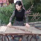 若相惜ゝ何须执手问年华