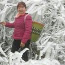 天天早起苦命人     骆科琴