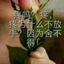 朱立