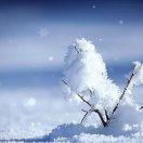 春天的风🐇🍂🌾