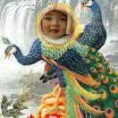 💗看破红尘遁入空门