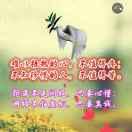 天空有你