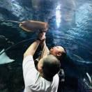 洛阳通盛金属制品有限公司