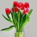 一条龙服务龙头厨师队艳子