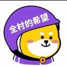 @全村的希望＄