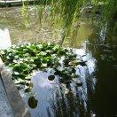 简简单单