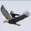 A灯红酒绿惹人醉