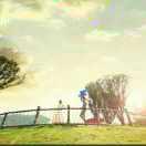 仰望幸福的天空