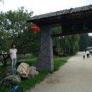 观梦阁新任阁主