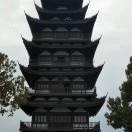 为明天更好在奋斗