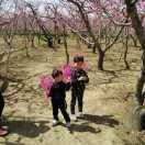 素丽房屋搭建阳光棚