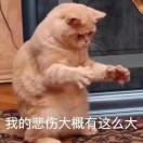 有一首歌是我，