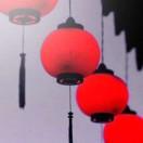 阳阳(☀️)