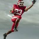 膜之光万联汽车膜(长垣店)