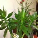 快乐度过每一天