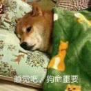 天天向上