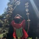 原来你也在这里