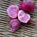 💘🐰单只蝴蝶🐰💘