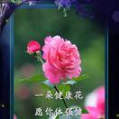 微笑面对[优选好物]