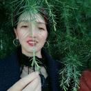 好运来