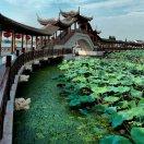 美好明天