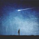 付小博🐒 🌟 🐰