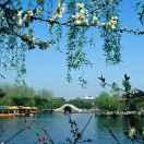 大名县苑记千里香馄炖店