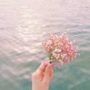 淇润商贸-彩虹