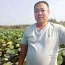 天门口老高鹅苗孵化基地