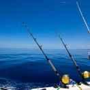 🐟 ᥫᩣ不负°遇见࿐³²³