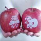 调节器生产厂家