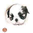 去吧，小忠犬！头像