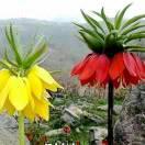 转角遇到爱相遇即是缘