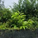 广西恒冠建材有限公司