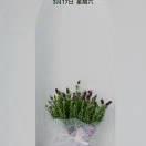 天天有个好心情