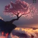 331729959花絮