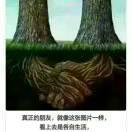 明姐