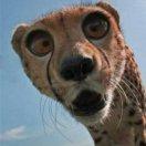 眼里有星辰ゞೄ