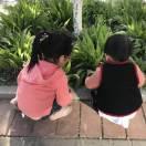 紫云
