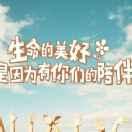 指南针